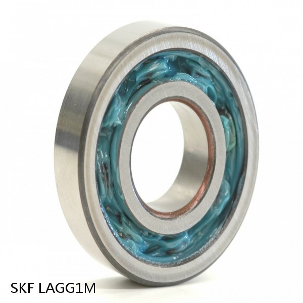 LAGG1M SKF Bearings,Grease and Lubrication,Grease, Lubrications and Oils