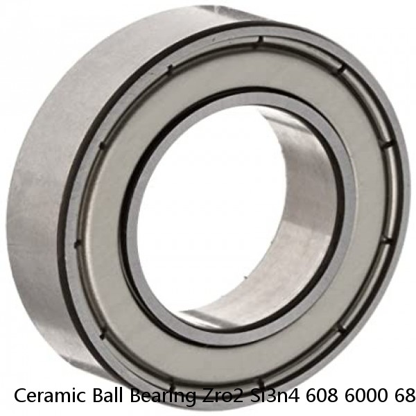 Ceramic Ball Bearing Zro2 Si3n4 608 6000 6800 Plastic Bearing