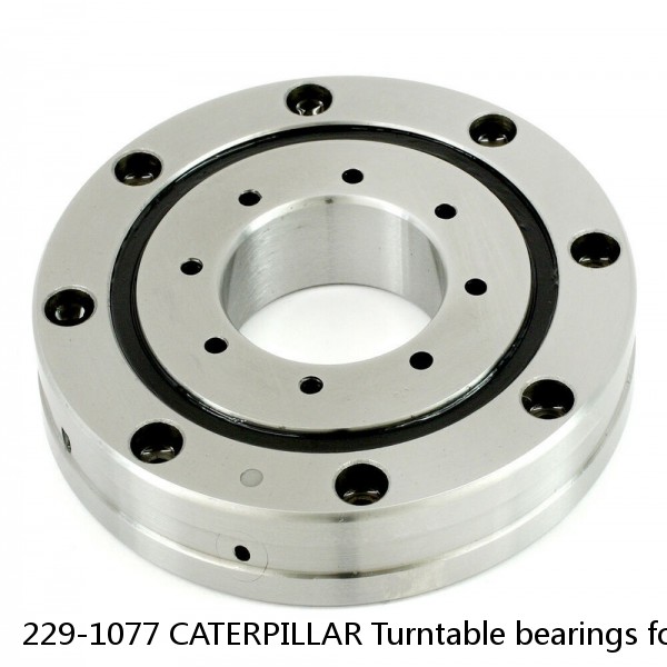 229-1077 CATERPILLAR Turntable bearings for 312C