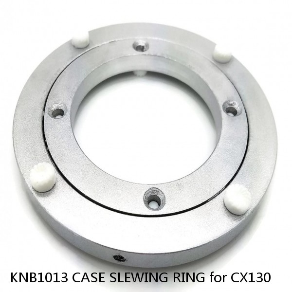 KNB1013 CASE SLEWING RING for CX130