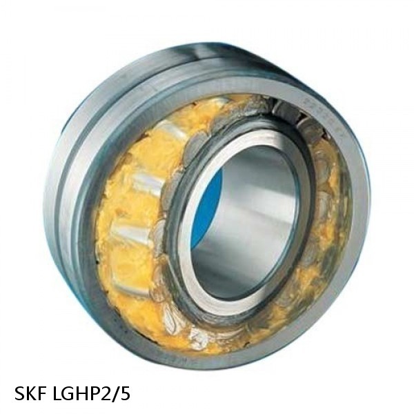 LGHP2/5 SKF Bearings,Grease and Lubrication,Grease, Lubrications and Oils